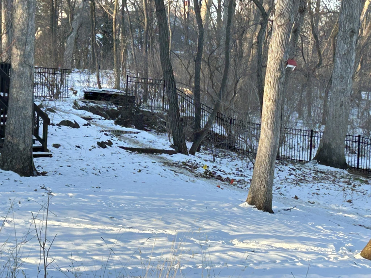 A black metal fence expertly installed along a snowy, sloped terrain by GoldHammer, a fencing contractor in Sebastopol, CA.