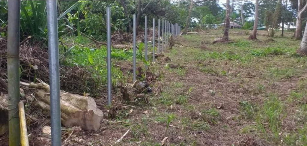 Metal fence posts installed in a rural area by Samoa Fencing in Faleata, Apia, Samoa.