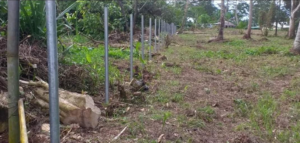 Metal fence posts installed in a rural area by Samoa Fencing in Faleata, Apia, Samoa.