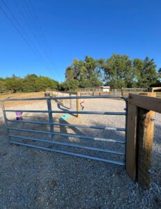 A metal gate and wooden fence posts installed in a gravel area by Stapleton Fencing LLC in Lexington, KY.