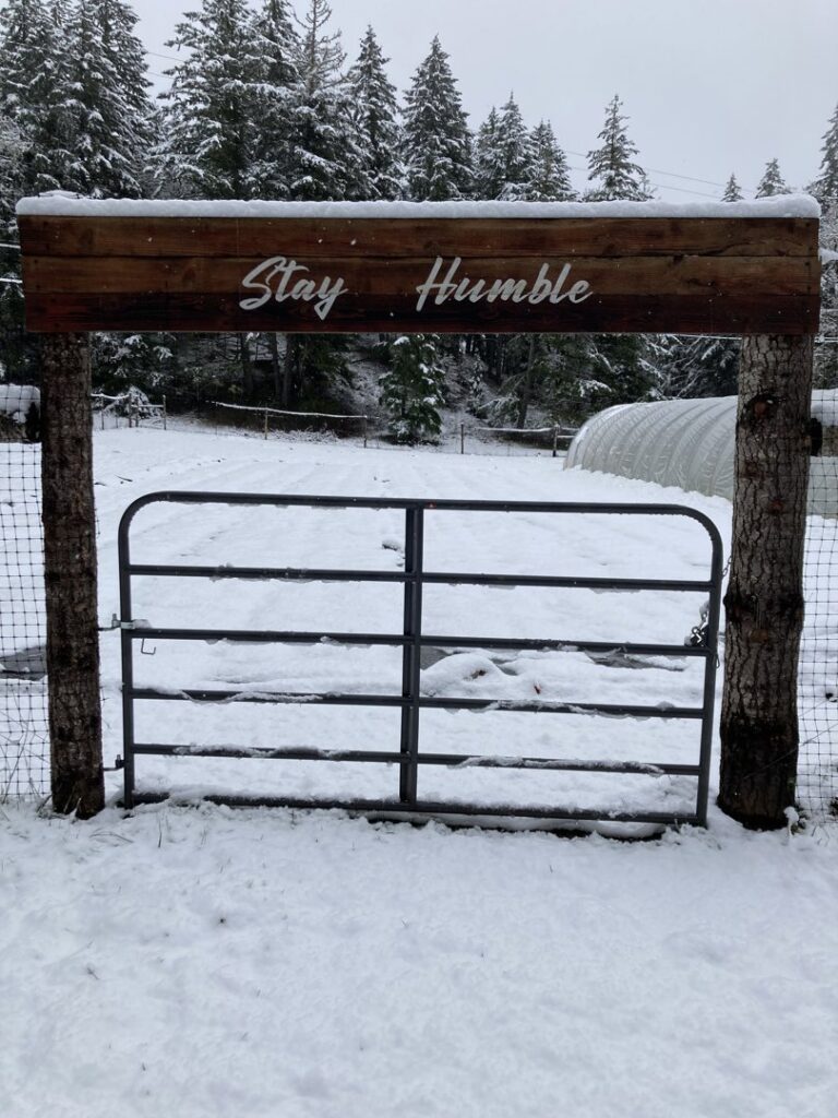 A metal gate with wooden posts and a sign in a snowy landscape by Olson Handyman Services, LLC in New Braunfels, TX