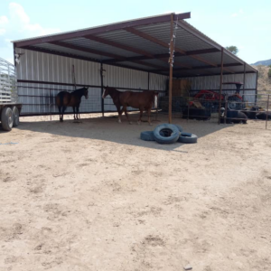 Custom metal horse enclosure and fencing built by Jones Fabrication & Welding LLC in Chandler, AZ