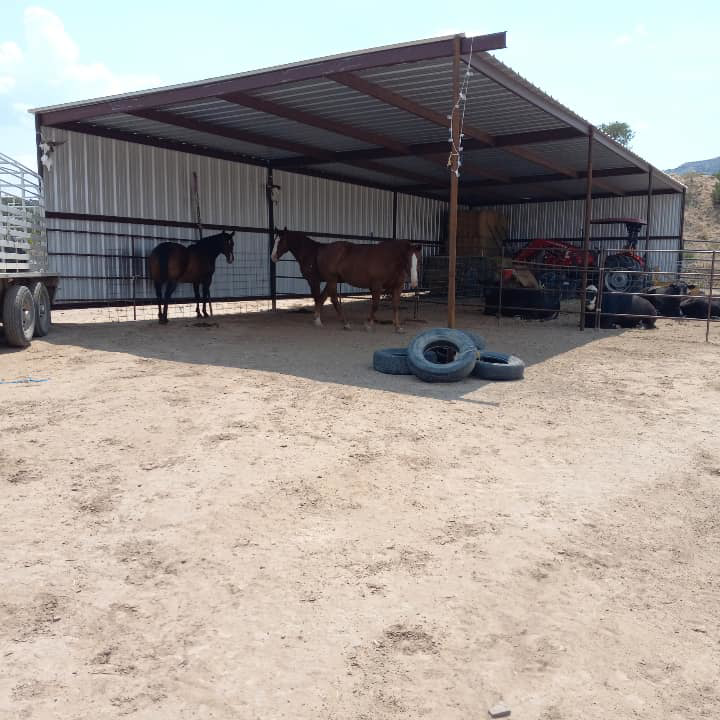 Custom metal horse enclosure and fencing built by Jones Fabrication & Welding LLC in Chandler, AZ