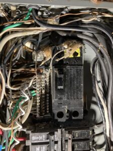 Multiple dead mice found inside an electrical panel, requiring repair by Patriot Electric L.L.C in Phoenix, AZ