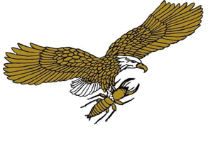 Millennium Termite & Pest