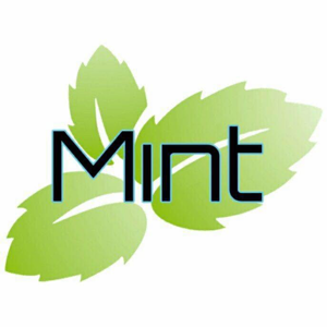Mint Carpet Care