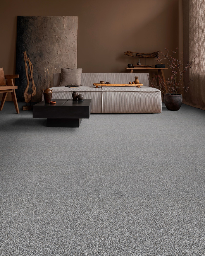 A modern living room featuring a newly installed grey carpet by The Carpet Store Tampa, FL