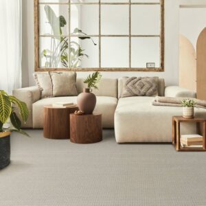 A modern living room featuring a light grey patterned carpet installed by Thornton Flooring - Rapid City in Rapid City, SD