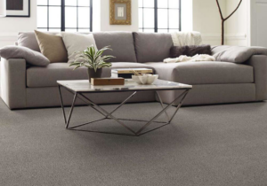 A modern living room featuring stylish gray carpet installed by Carpets Plus Cabinets Plus in St. Louis, MO.