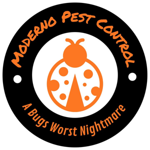 Moderno Pest Control