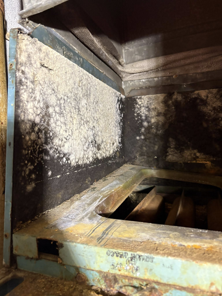 An interior view of an HVAC system showing significant mold growth, a common issue addressed by Pepper Mechanical in Pittsburgh, PA