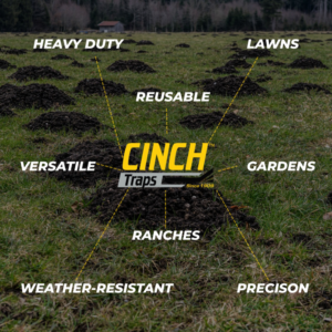 A field covered in numerous molehills, illustrating the need for Cinch Traps wildlife and pest control services in Beaverton, OR.