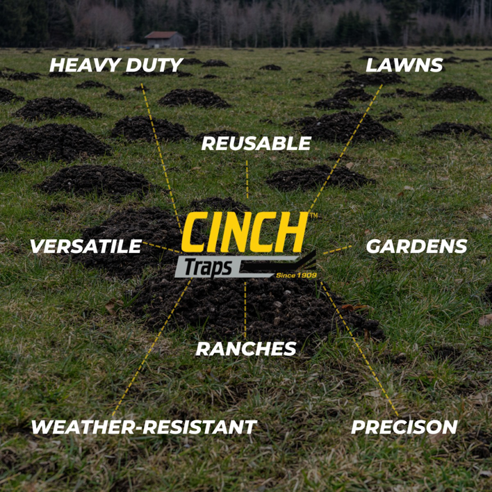 A field covered in numerous molehills, illustrating the need for Cinch Traps wildlife and pest control services in Beaverton, OR.