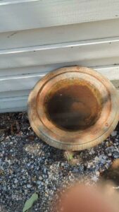 Stagnant water in a bird bath, a common mosquito breeding ground, identified by Birmingham Pest & Mosquito Control in Birmingham, AL.