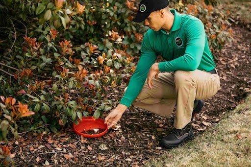 A Mosquito Joe technician placing a mosquito trap or bait station near landscaping in Newark, DE.
