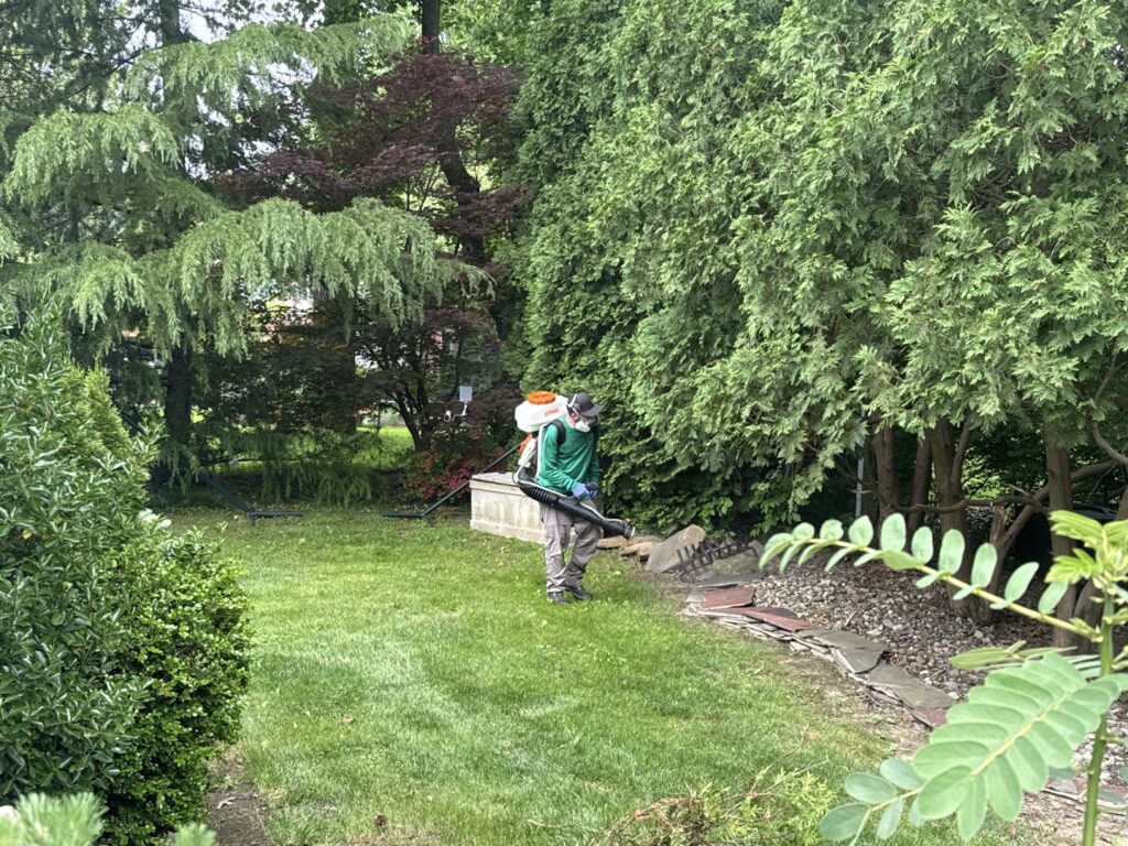 A Mosquito Joe technician applying pest control treatment with a backpack sprayer in a backyard in Newark, DE.