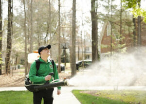 A Mosquito Joe technician applying pest control treatment with a backpack sprayer in a residential yard in Encinitas-Del Mar, San Diego, CA.