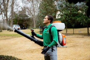 A Mosquito Joe of East Mississippi technician applying mosquito control treatment with a backpack sprayer in a yard in Meridian, MS.