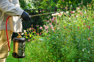A Mosquito Joe technician treating bushes with a handheld sprayer for pest control in Newark, DE.