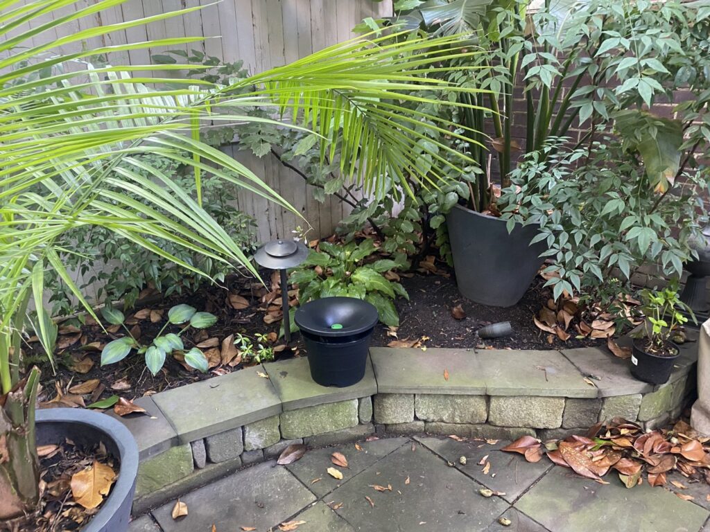 A black mosquito trap or bait station placed in a garden bed by Mosquito Authority in Charlotte, NC.