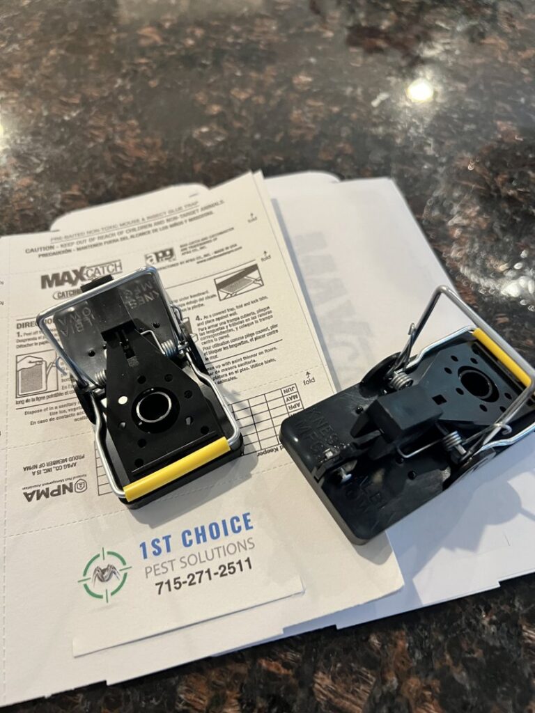Two mouse traps on a countertop, ready for use by 1st Choice Pest Solutions in Eau Claire, WI.