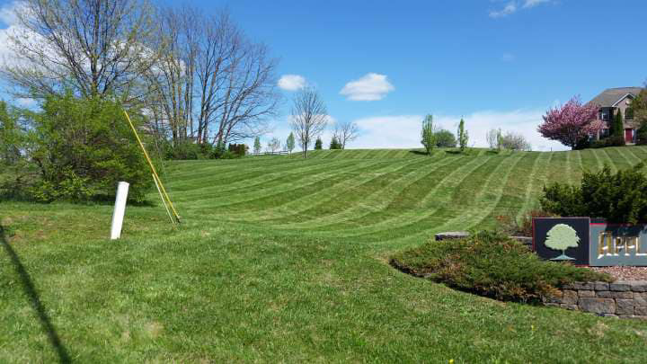 A wide view of a neatly mowed sloping lawn with clean stripes, provided by Clean Cuts Lawn Care in Cavetown, MD.