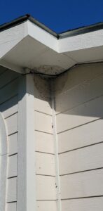 A mud dauber nest built on the corner of a house, requiring pest control services from Wilkinson Pest Control in Nampa, ID.