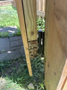 Mud dauber nests or insect activity visible on a wooden fence, requiring pest control from Antix Pest Control in Canton, OH.