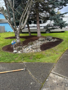 A freshly mulched garden bed with rocks and a neatly mowed lawn by Martin's Landscaping CO. in Renton, WA.