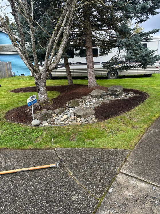 A freshly mulched garden bed with rocks and a neatly mowed lawn by Martin's Landscaping CO. in Renton, WA.