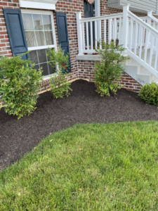 A neatly mulched garden bed with trimmed bushes and a well-kept lawn by As Green Lawncare and Landscaping LLC in Frederick, MD.