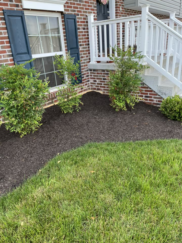 A neatly mulched garden bed with trimmed bushes and a well-kept lawn by As Green Lawncare and Landscaping LLC in Frederick, MD.