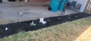 A freshly mulched garden bed with small plants next to a concrete patio, maintained by Parks' Lawn Care in Hagerstown, MD.
