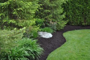 A neatly mulched garden bed with green shrubs and a decorative rock by Kustom Lawn Kare LLC in Greenwood, IN.