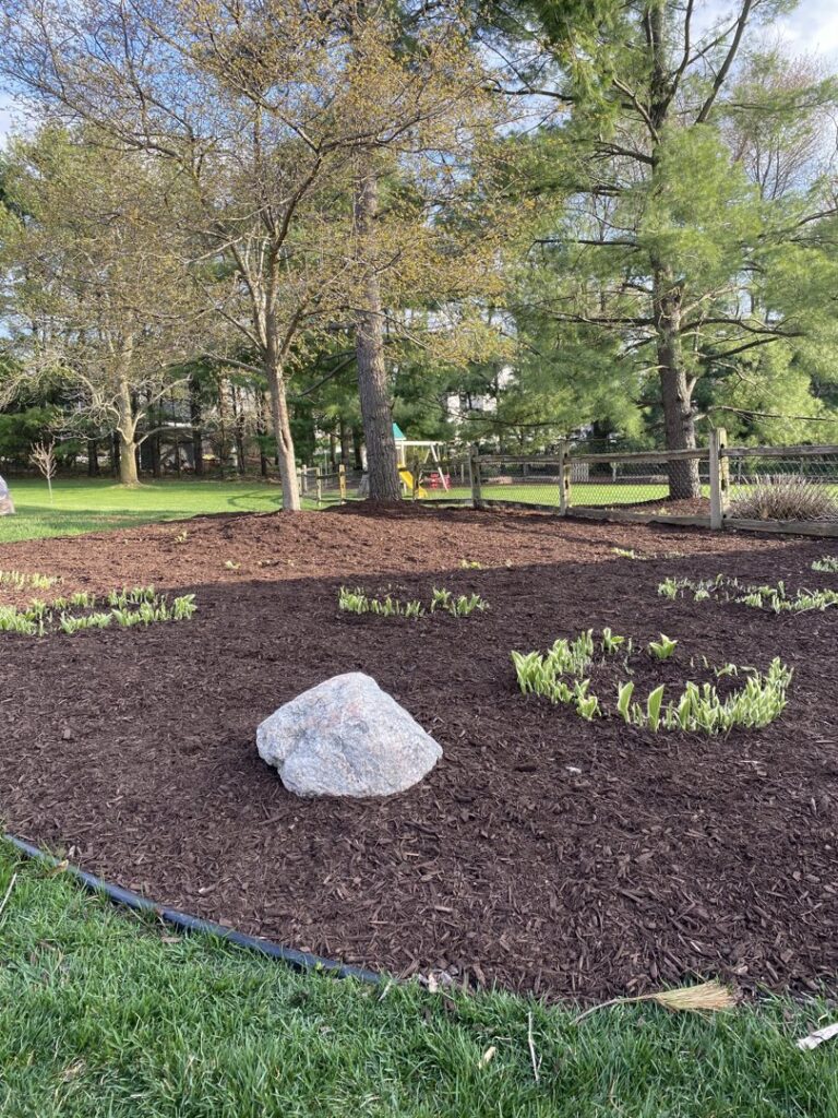Mulched tree beds with emerging new plants, demonstrating landscaping work by Roots Lawn Care Solutions in Granger, IN.