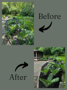 Before and after of professional mulching and garden bed care by J&C Lawn Care Service in Madison, WI.