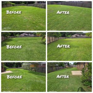 Multiple before and after images showcasing backyard lawn transformations and mowing services by Southern Rooted Lawns in Mobile, AL.