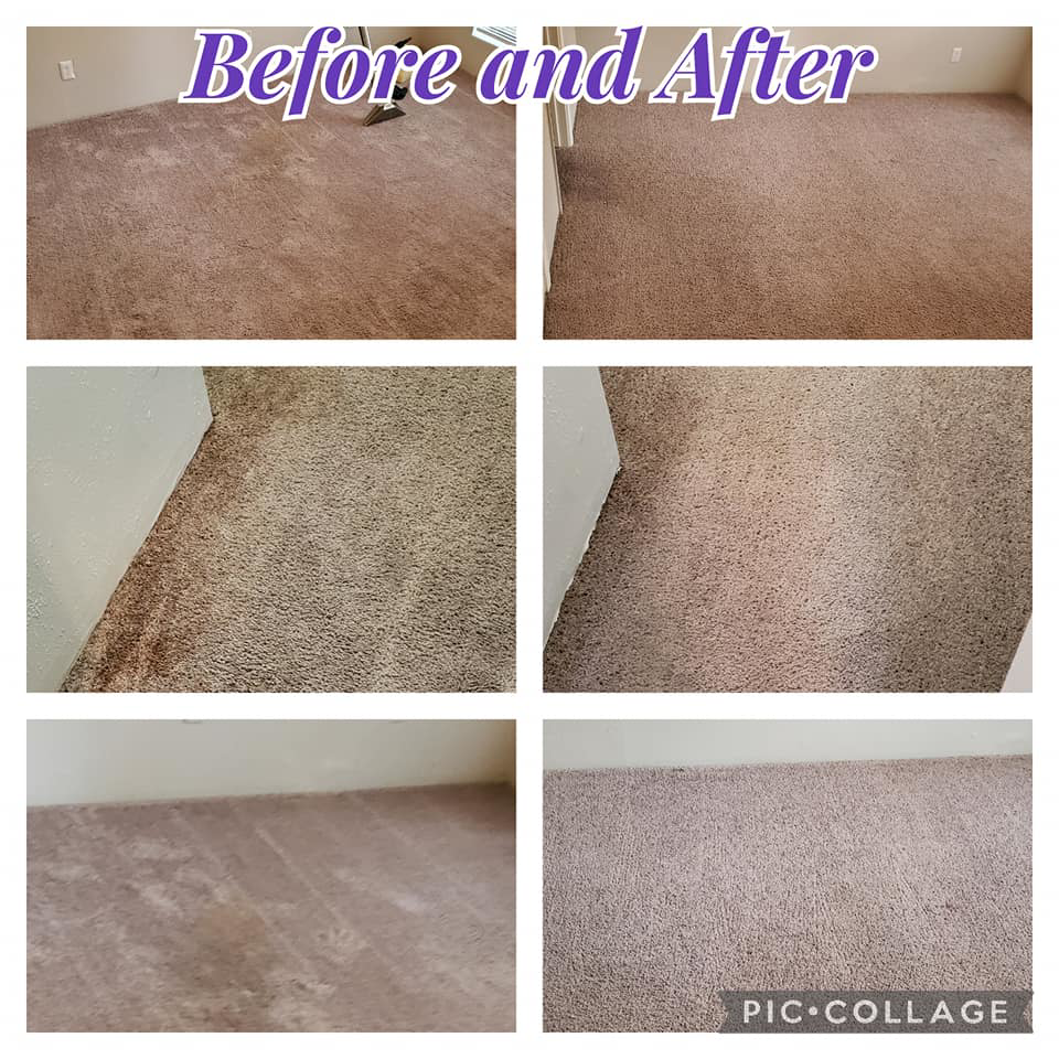 Multiple before and after views of professional carpet cleaning by All Star Carpet Restoration and Cleaning in Midlothian, TX