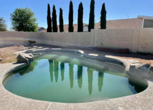 A swimming pool with murky, greenish water, indicating a need for cleaning services from Edward's Pool Service, LLC in Gilbert, AZ.