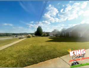 A neatly cut and well-maintained backyard lawn by King Corbett Lawn Care in Decatur, AL.