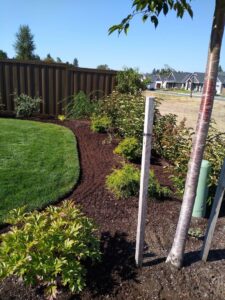 A neatly edged lawn with mulched garden beds and shrubs, maintained by Tony's Lawn Care Services in Greenville, SC.