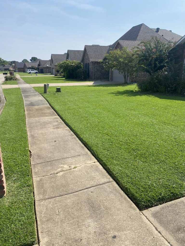 A neatly mowed lawn with crisp edges along a sidewalk, showcasing work by Cenla Lawn Pros in Alexandria, LA