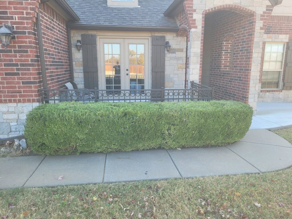 A perfectly trimmed hedge in front of a residential home by R & W Lawn care service LLC in Tulsa, OK.