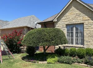 A beautifully maintained front yard with neatly trimmed landscaping by Lawns Plus More LLC in Edmond, OK.