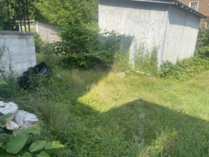 A neglected backyard with overgrown grass, weeds, and bushes surrounding a shed, before service by Elliott's Lawn Care & Landscaping in Lexington, KY.