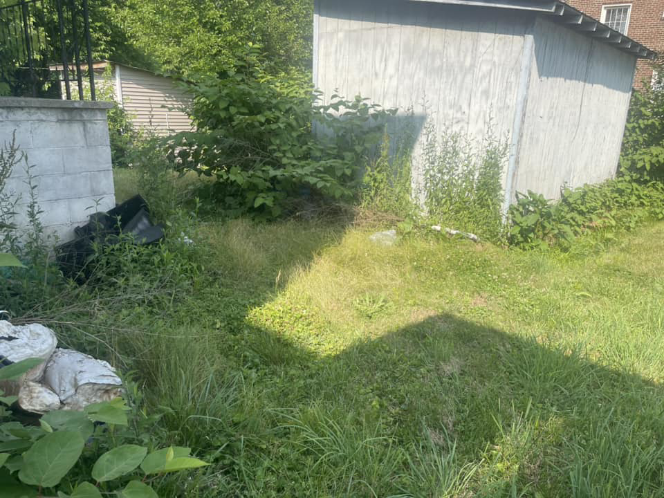 A neglected backyard with overgrown grass, weeds, and bushes surrounding a shed, before service by Elliott's Lawn Care & Landscaping in Lexington, KY.