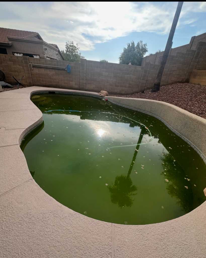 A neglected, green swimming pool requiring professional cleaning services from The Pool Service Pros in New Hill, NC.