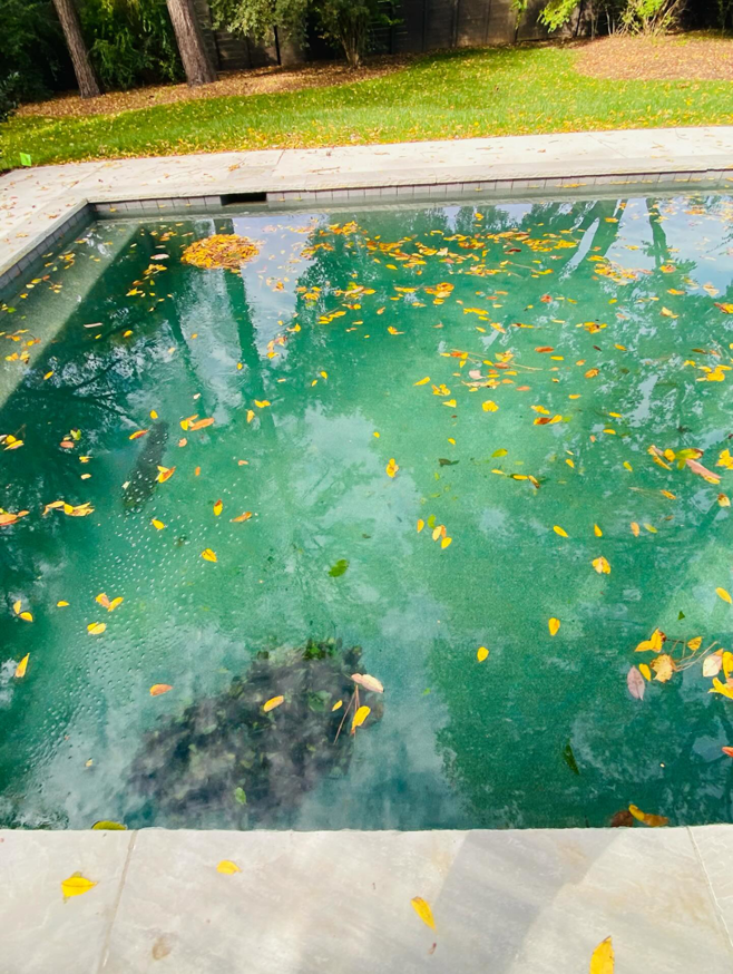 A neglected pool filled with leaves and debris, ready for professional cleaning by Prestige Pool Care in Brentwood, TN.