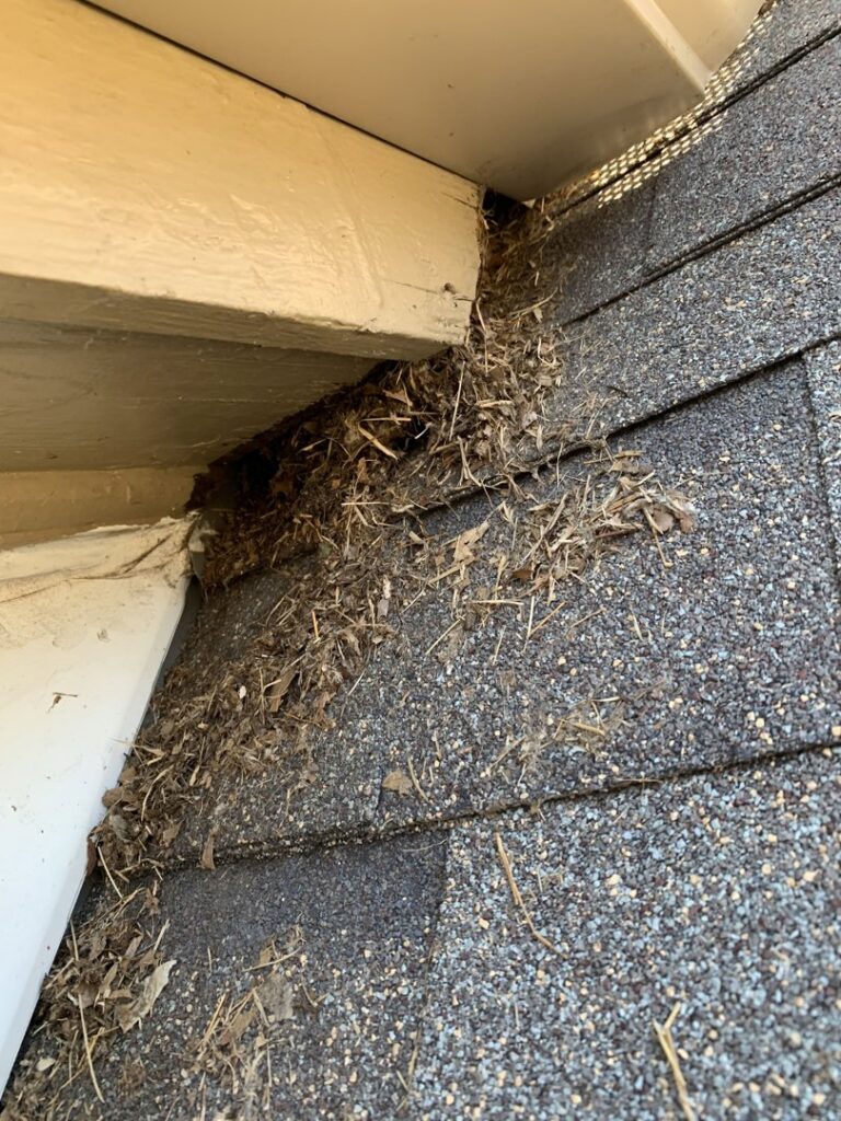 Nesting material and debris accumulated in a roof gap, indicating a potential wildlife entry point for ARC Animal Removal & Control in Cincinnati, OH.