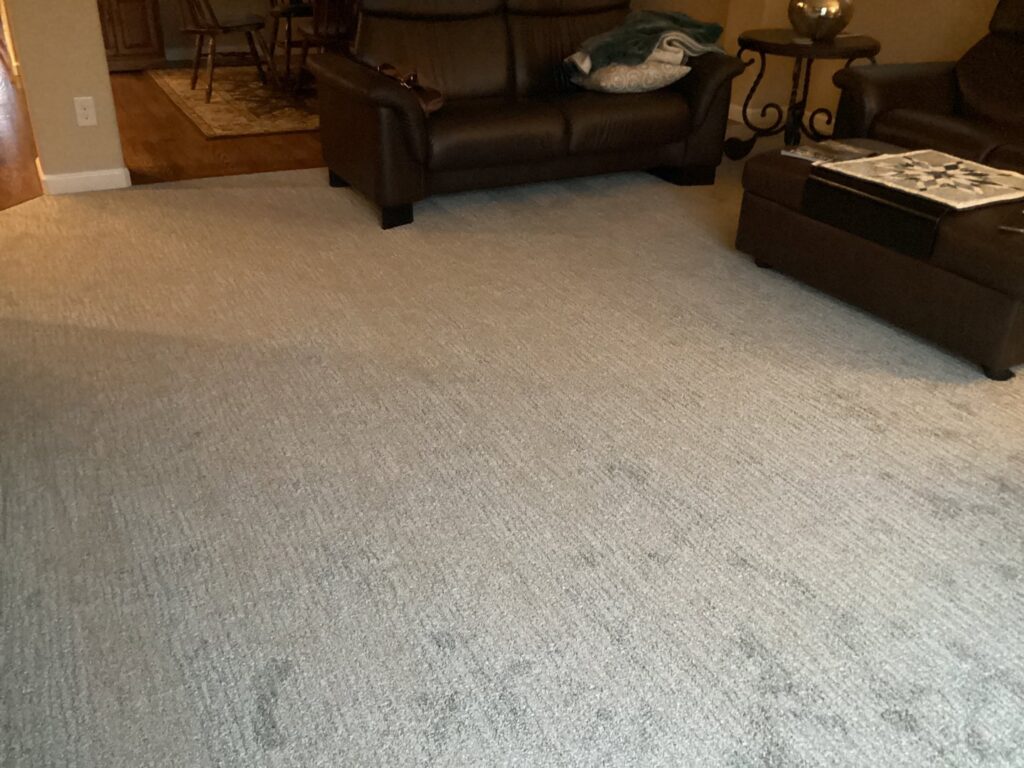 A newly installed carpet in a living room with furniture by Carpet Direct of Northern Colorado in Loveland, CO.